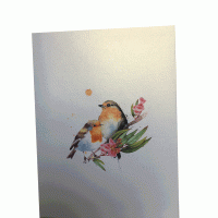 pop-up twee roodborstjes op een tak kaart